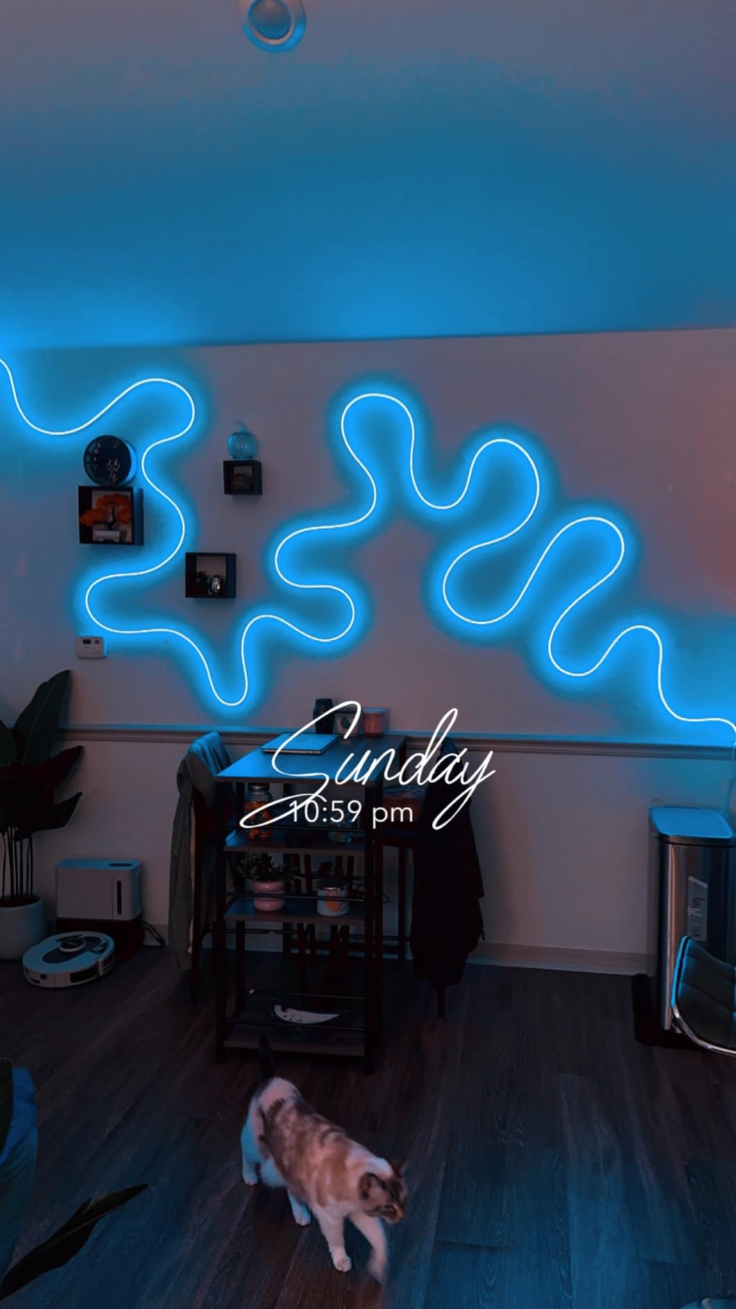 Bande LED Néon 5M RGB